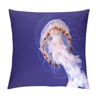 Personality  Group Of Jellyfish Pillow Covers