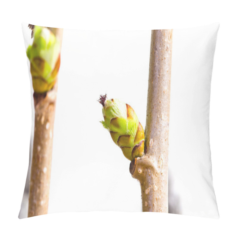 Personality  birch bud pillow covers