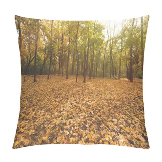 Personality  Autumn Forest Full Of Golden Trees Pillow Covers