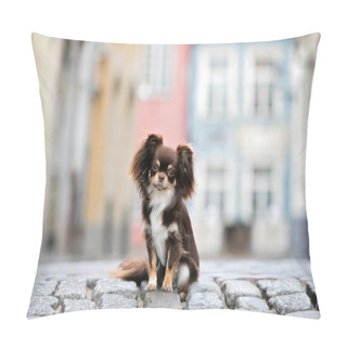 Personality  Chihuahua Dog Posing In The Old Town Pillow Covers