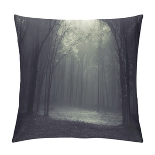 Personality Light In A Dark Forest Creating A Frame Pillow Covers