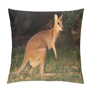 Personality  Agile Wallaby Pillow Covers
