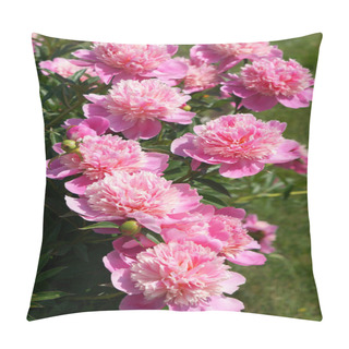 Personality  Flowering Shrub Pink Peonies Pillow Covers