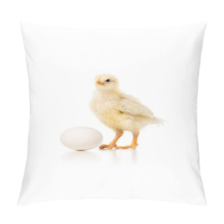 Personality  Close-up View Of Adorable Little Chicken With Egg Isolated On White Pillow Covers