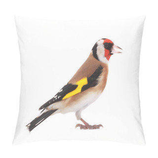 Personality  Goldfinch Isolated On A White Background Pillow Covers