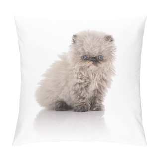 Personality  Young Himalayan Kitten Pillow Covers