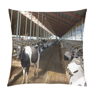 Personality  Herd Of Cows In Cowshed Stable On Dairy Farm Pillow Covers