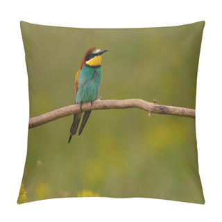 Personality  Colorful Bee-eater On Tree Branch, Against Of Yellow Flowers Background Pillow Covers