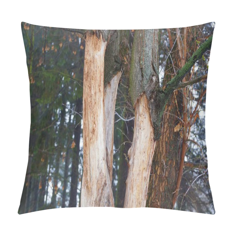 Personality  Part Of A Dry Diseased Tree With Branches With Fallen Bark Pillow Covers