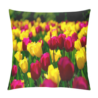 Personality  Tulip Field Pillow Covers