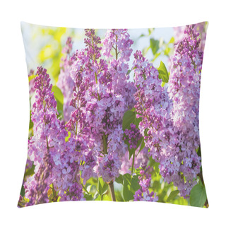 Personality  Lilac Flowers Pillow Covers