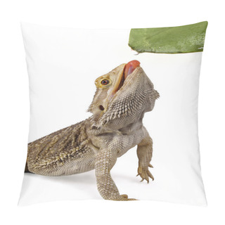 Personality  Bearded Dragon Licking Water Droplet From A Leaf Pillow Covers