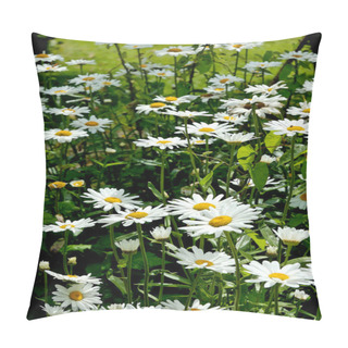 Personality  Daisies Pillow Covers