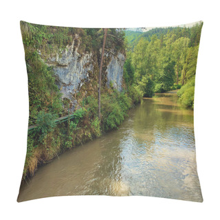 Personality  River In A Slovensky Raj, Tatra Mountains, Slovakia Pillow Covers