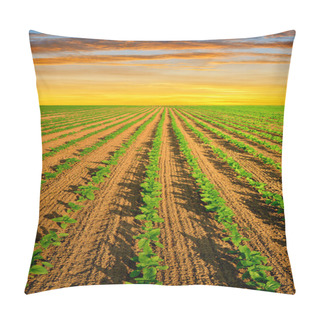 Personality  Field In The Sunset Pillow Covers