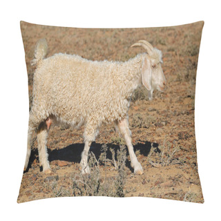 Personality  An Angora Goat On A Rural African Free-range Farm Pillow Covers