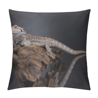 Personality  Agama Bearded Lizard  Pillow Covers