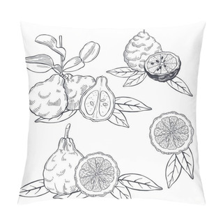 Personality  Hand Drawn Bergamot And Tea Leaves. Vector Sketch  Illustration. Pillow Covers