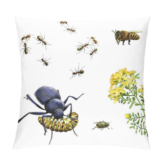 Personality  Insects: Bee, Ants, Ground Beetle Eating Caterpillar, Bug And Yellow Meadow Flowers Pillow Covers