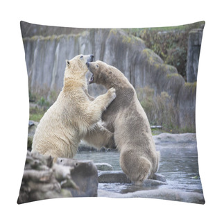 Personality  Two Male Polar Bears Fight And Bite. Polar Bears Close Up . Alaska, Polar Bear. Big White Bears In The Spring In The Forest . Polar Bears Is In Alaska, Rocks, Grass, Cold Spring. Pillow Covers