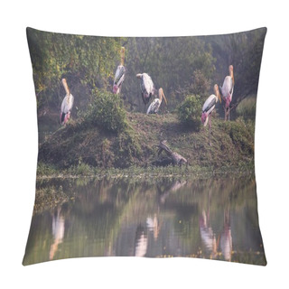 Personality  Pinted  Storks (Mycteria Leucocephala) In Keoladeo Ghana Nationa Pillow Covers