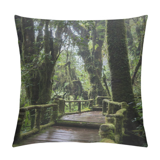 Personality  Beautiful Rain Forest At Nature Trails Ang Ka Doi Inthanon,Chiangmai In Thailand Pillow Covers