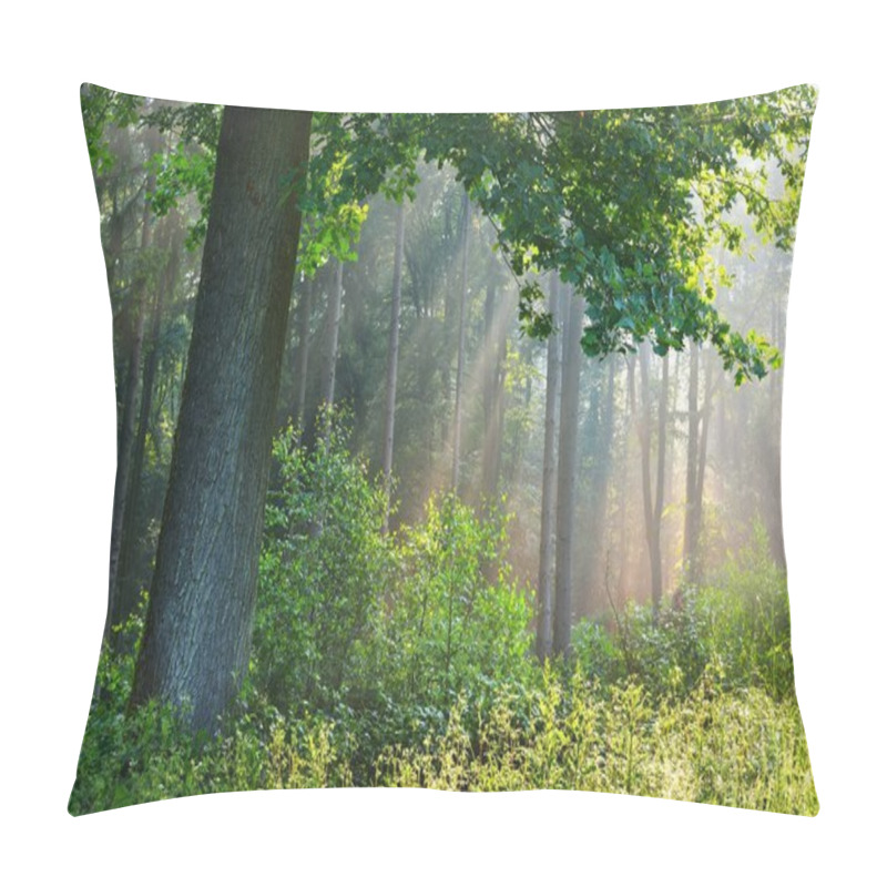 Personality  Overgrown Green Forest In Fog Pillow Covers