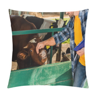 Personality  Cropped View Of Rancher With Clipboard Touching Head Of Cow On Farm Pillow Covers