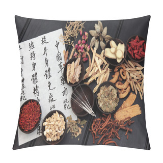 Personality  Traditional Chinese Medicine Pillow Covers