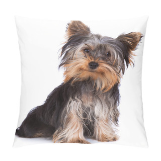 Personality  Yorkshire Terrier Looking At The Camera In A Head Shot, Against A White Background Pillow Covers