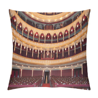 Personality  Auditorium Pillow Covers