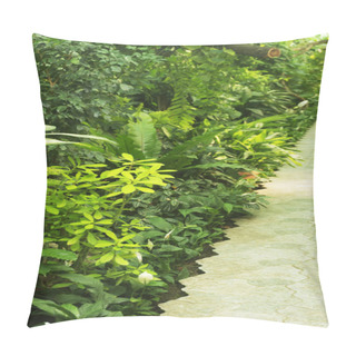 Personality  Various Types Of Tropical Plants Planted Along The Path Inside The Greenhouse. Pillow Covers
