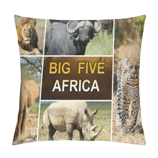 Personality  The Big Five Pillow Covers