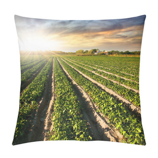 Personality  Cultivated Land Pillow Covers