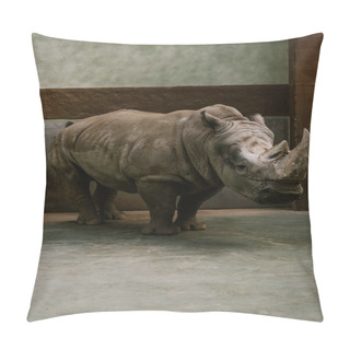 Personality  Front View Of Endangered White Rhino Standing At Zoo  Pillow Covers