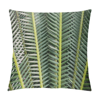 Personality  Palm Pillow Covers