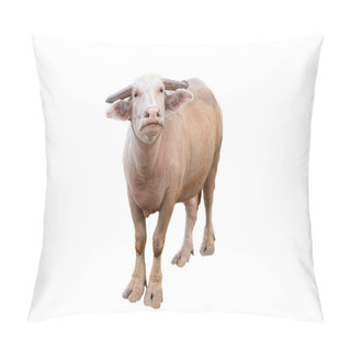 Personality  Thai Water Buffalo  Pillow Covers