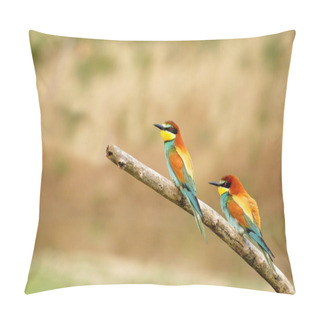 Personality  Couple Of European Bee-eaters (Merops Apiaster) Pillow Covers