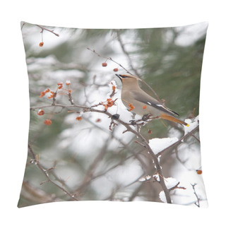 Personality  A Cedar Waxwing Perched In A Snowy Tree. Pillow Covers