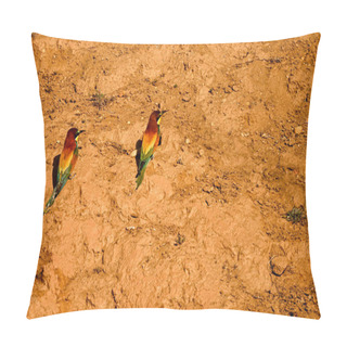 Personality  Bee-eater Or Merops Apiaster, Standing On An Earthen Wall Pillow Covers