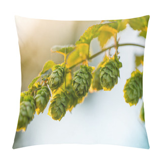 Personality  Detail Of Fresh Hops Cones Pillow Covers