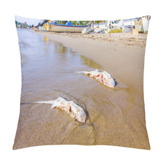 Personality  Carcass Of Dead, Killed Stingray With Chop Off Wings Is Washed Up By The Sea On Sandy Beach. Pillow Covers