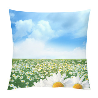 Personality  Field Of Daisies Pillow Covers
