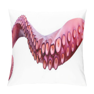 Personality  Tentacles Of Octopus Isolated On White Background Closeup.  Sea  Pillow Covers