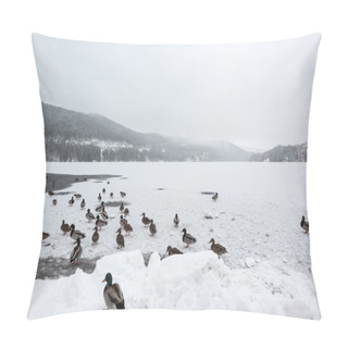 Personality  Mallard Ducks On Frozen Lake Pillow Covers