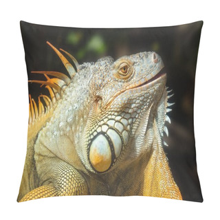 Personality  Giant Iguana Portrait Is Resting In The Zoo. This Is The Residual Dinosaur Reptile That Needs To Be Preserved In The Natural World Pillow Covers