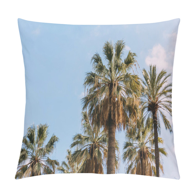 Personality  lush palm trees on blue sky background, lbarcelona, spain pillow covers