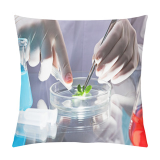 Personality  Scientific Work Pillow Covers