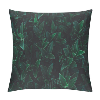Personality  Green Leaves Pattern Background. Flat Lay. Nature Dark Green Ton Pillow Covers