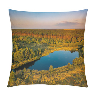 Personality  Rural Landscape. Forest Lake, Aerial View From Drone Pillow Covers